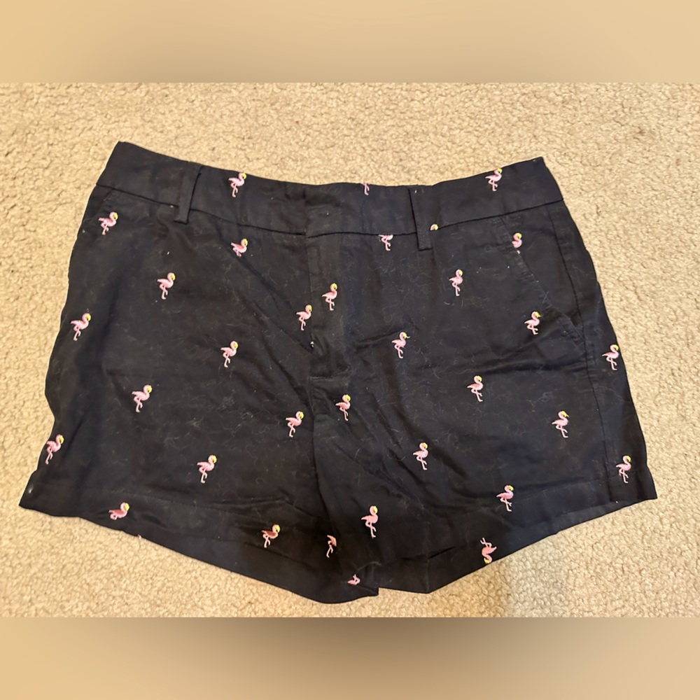 Black Flamingo Shorts